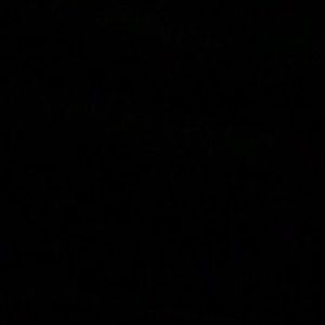 Meet your Posher, Ty